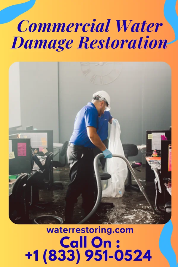 Commercial Water Damage Restoration in Talking Rock, GA