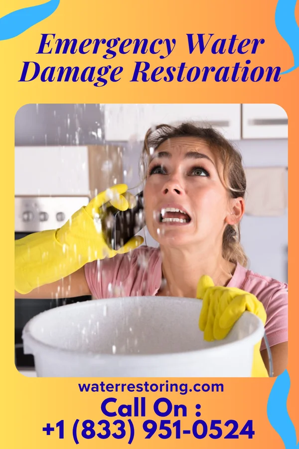 Emergency Water Damage Restoration in Talking Rock, GA
