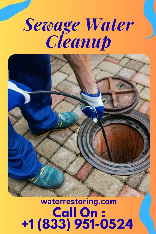 Sewage Water Cleanup in Talking Rock, GA